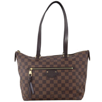 Louis Vuitton Iena PM Damier Ebene_IMG_3873.jpeg
