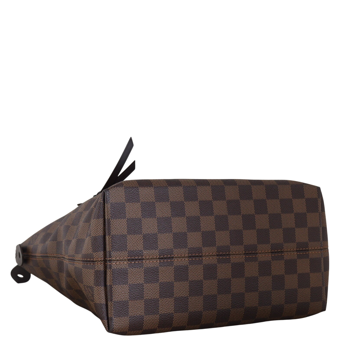 Louis Vuitton Iena PM Damier Ebene_IMG_3876.jpeg