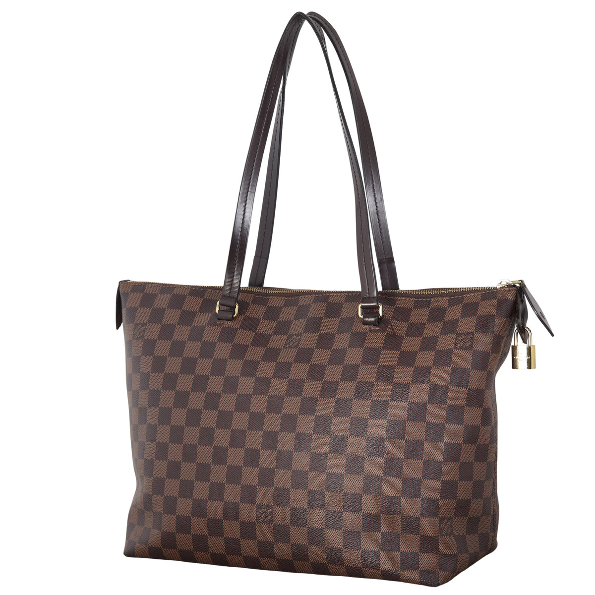 Louis Vuitton Iena PM Damier Ebene_IMG_8139.jpeg