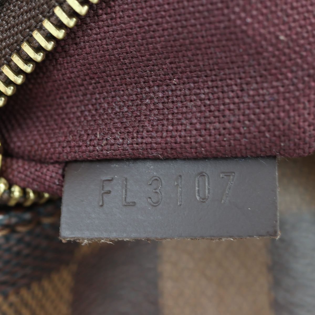 Louis Vuitton Iena PM Damier Ebene_IMG_8144.jpg