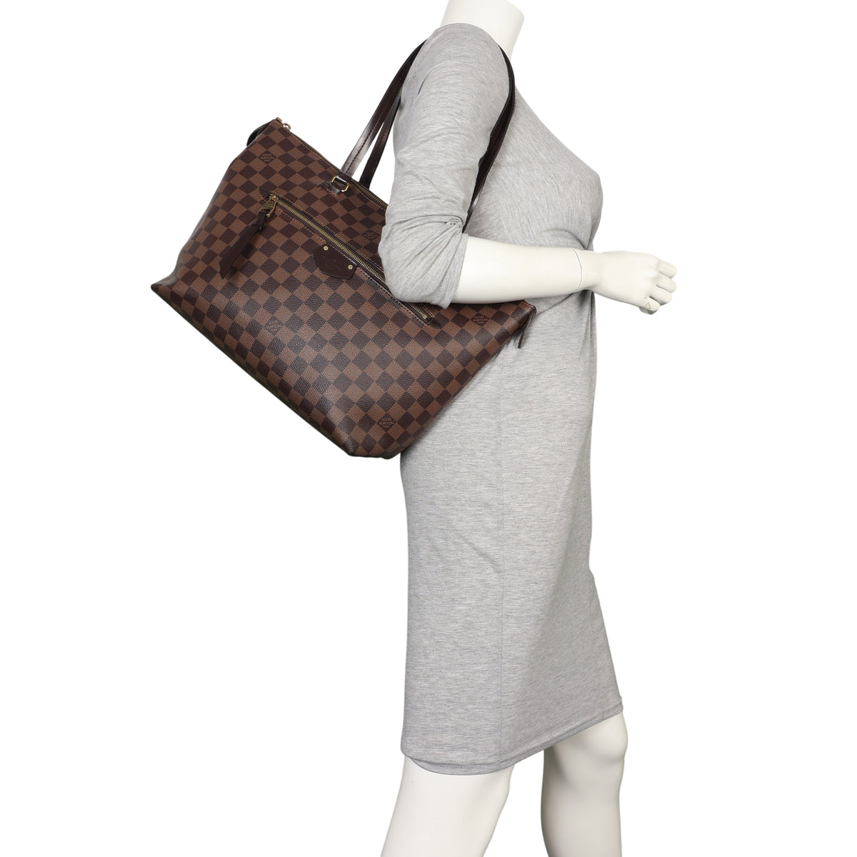Louis Vuitton Iena PM Damier Ebene_IMG_8284.jpeg