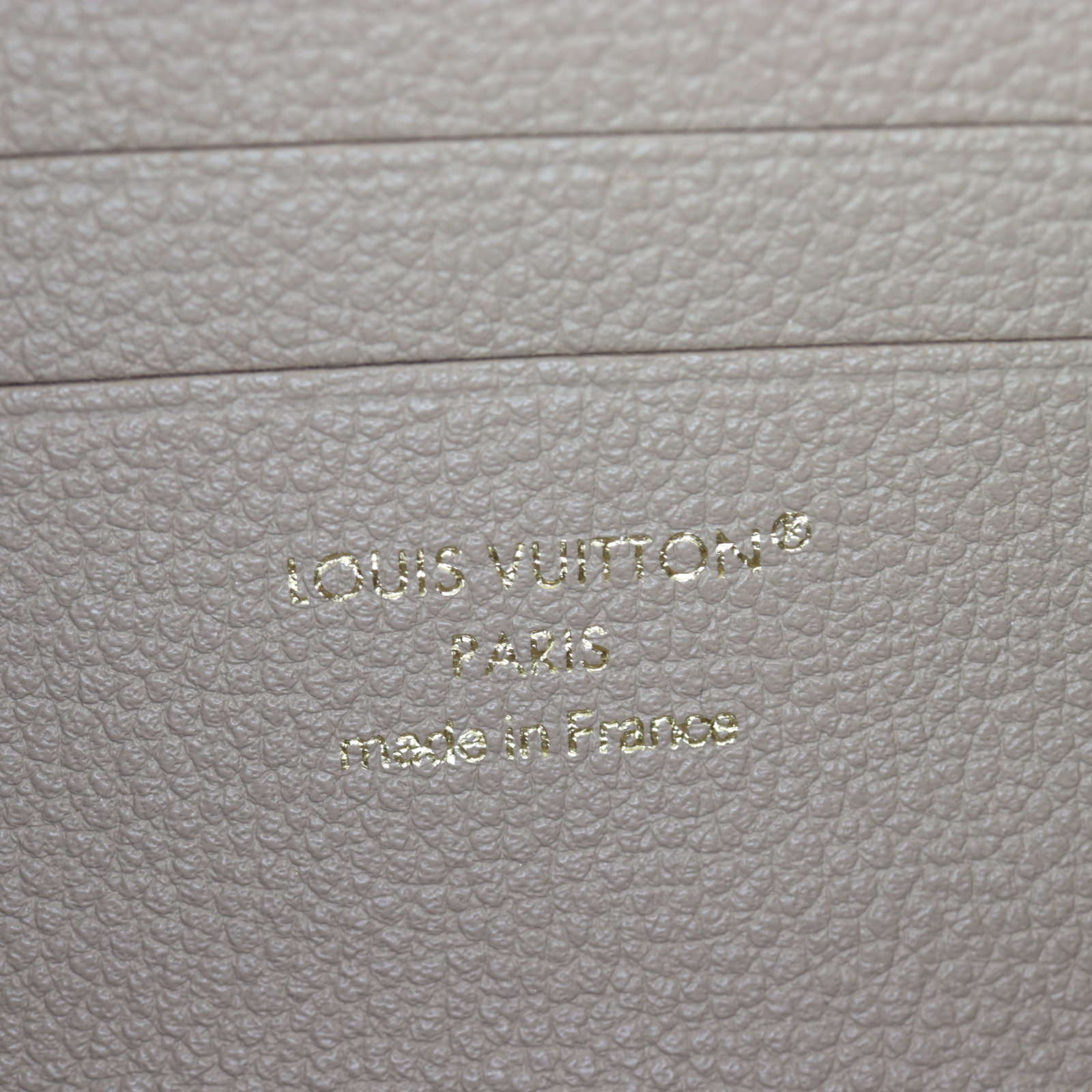 Louis Vuitton Ivy Wallet on Chain Monogram Empreinte Giant Bicolour_IMG_8347.jpg