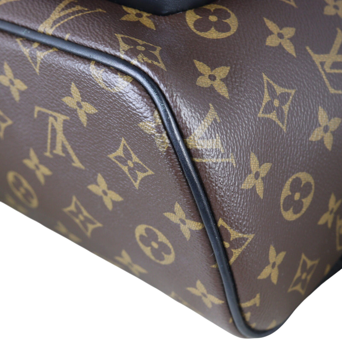 Louis Vuitton Josh Backpack Monogram Macassar_IMG_4031.jpeg
