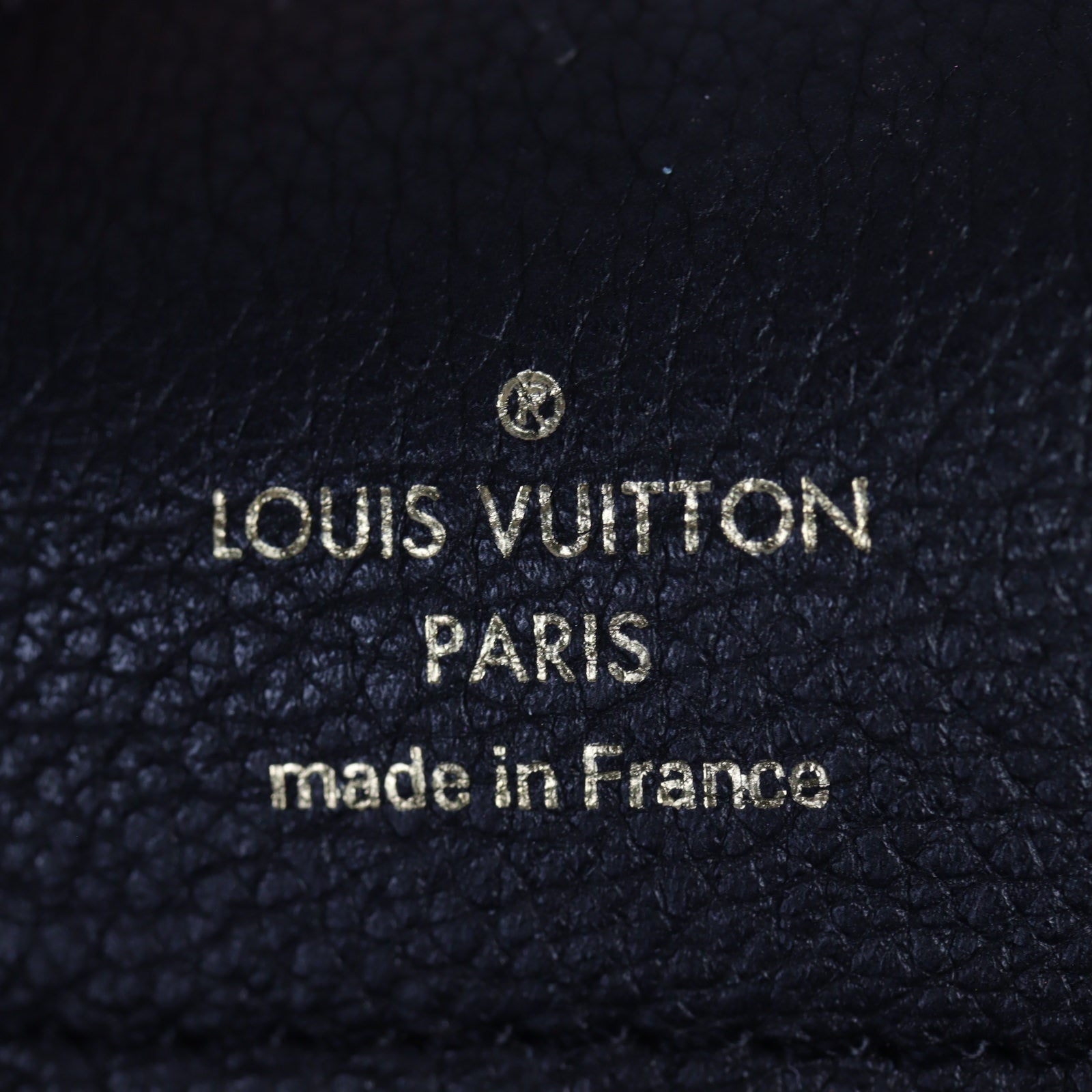 Louis Vuitton LV Riverside Damier Ebene_IMG_5158.jpg