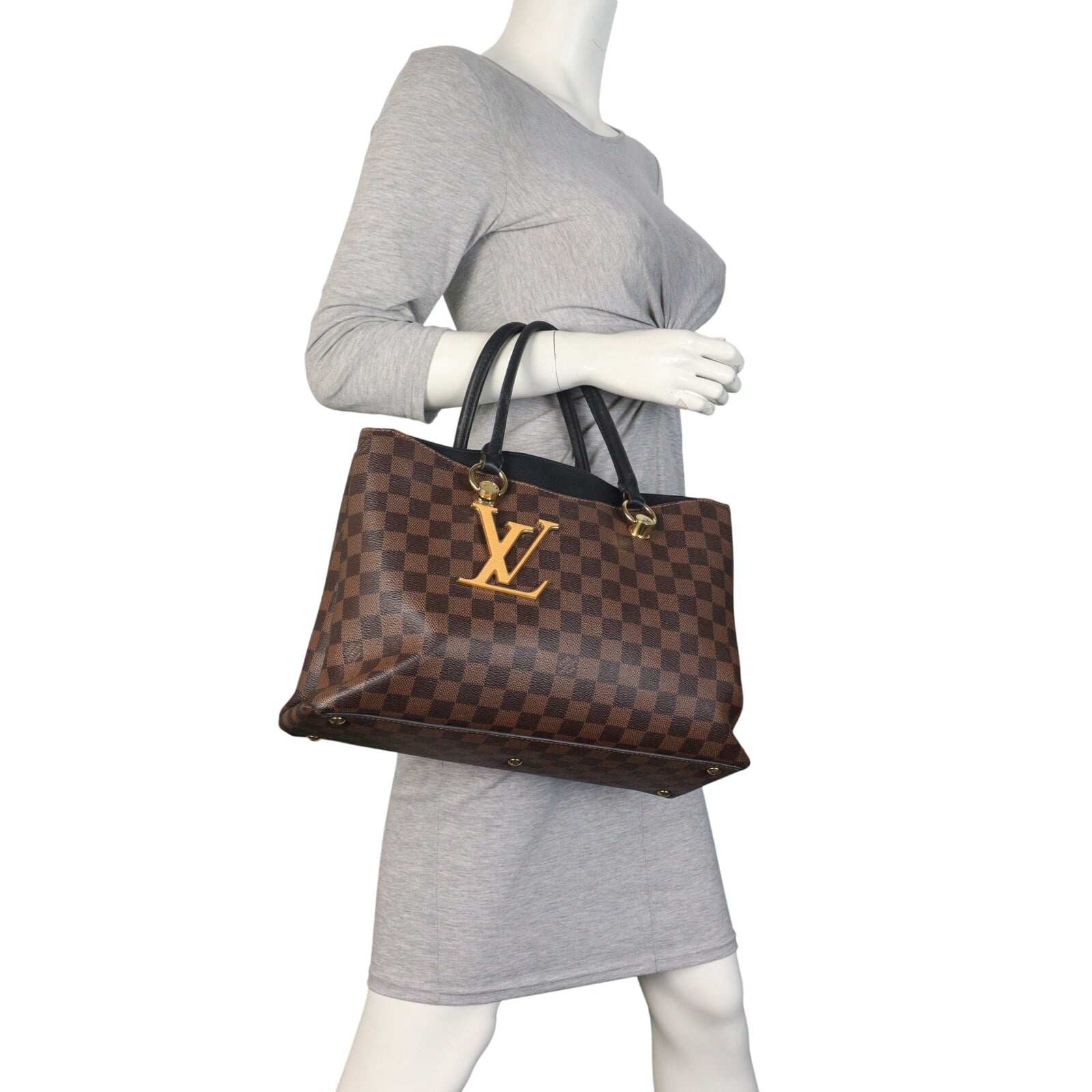Louis Vuitton LV Riverside Damier Ebene_IMG_5248.jpeg