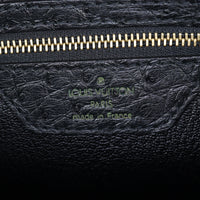 Louis Vuitton Lockit PM Ostrich_IMG_9601.jpg