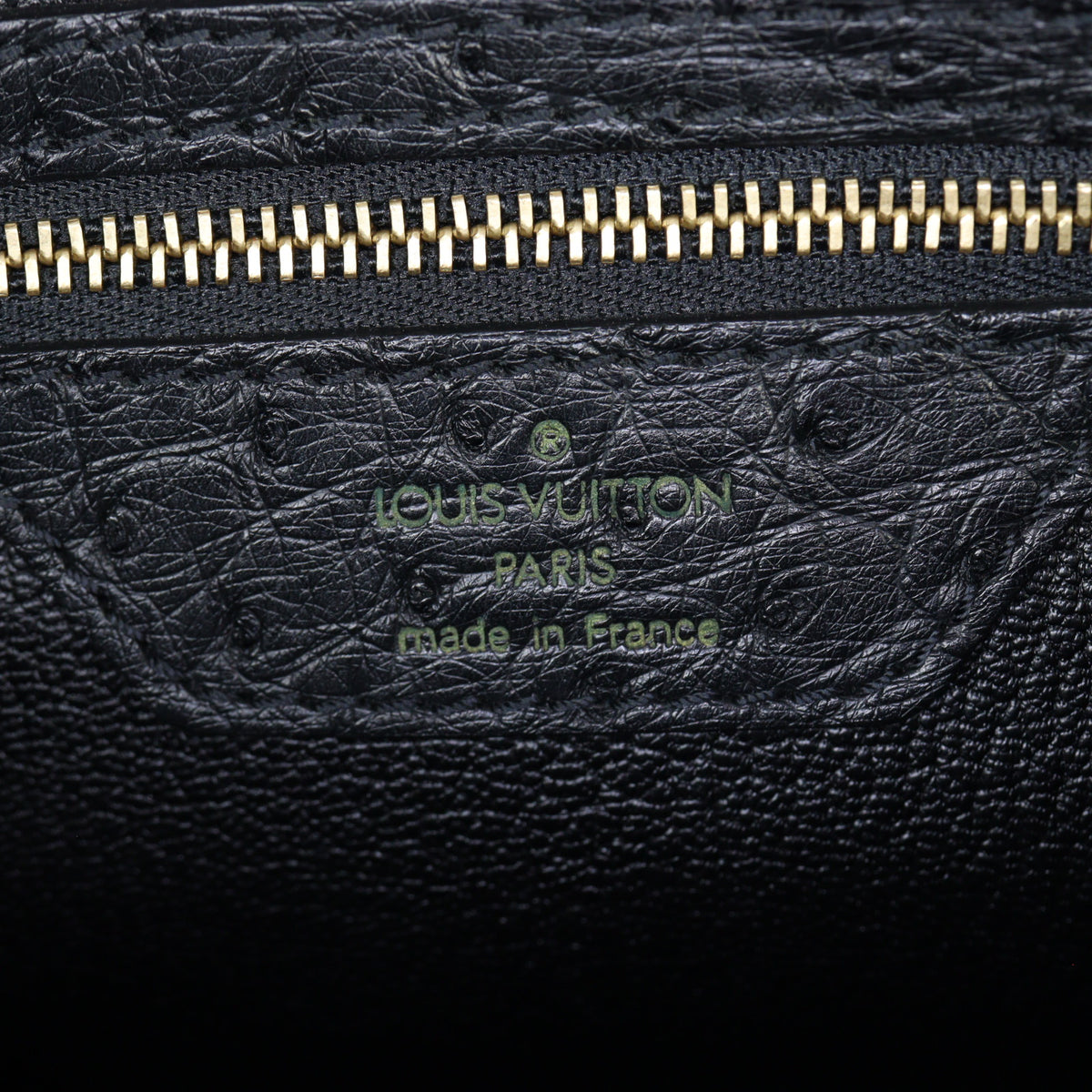 Louis Vuitton Lockit PM Ostrich_IMG_9601.jpg