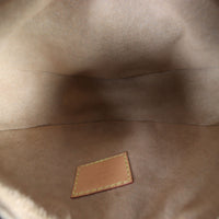 Louis Vuitton Loop PM Monogram_IMG_2033.jpg