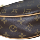 Louis Vuitton Loop PM Monogram_IMG_8793.jpeg