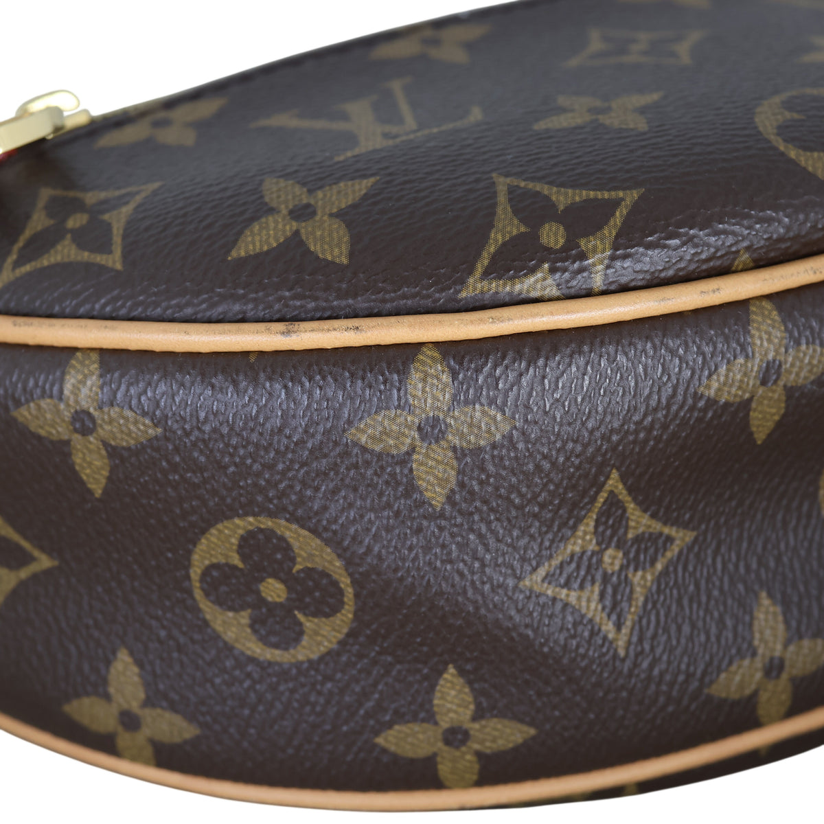 Louis Vuitton Loop PM Monogram_IMG_8793.jpeg