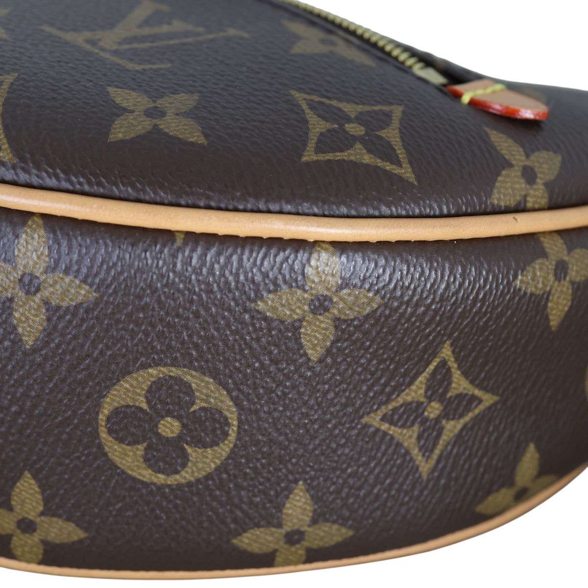 Louis Vuitton Loop PM Monogram_IMG_8794.jpeg