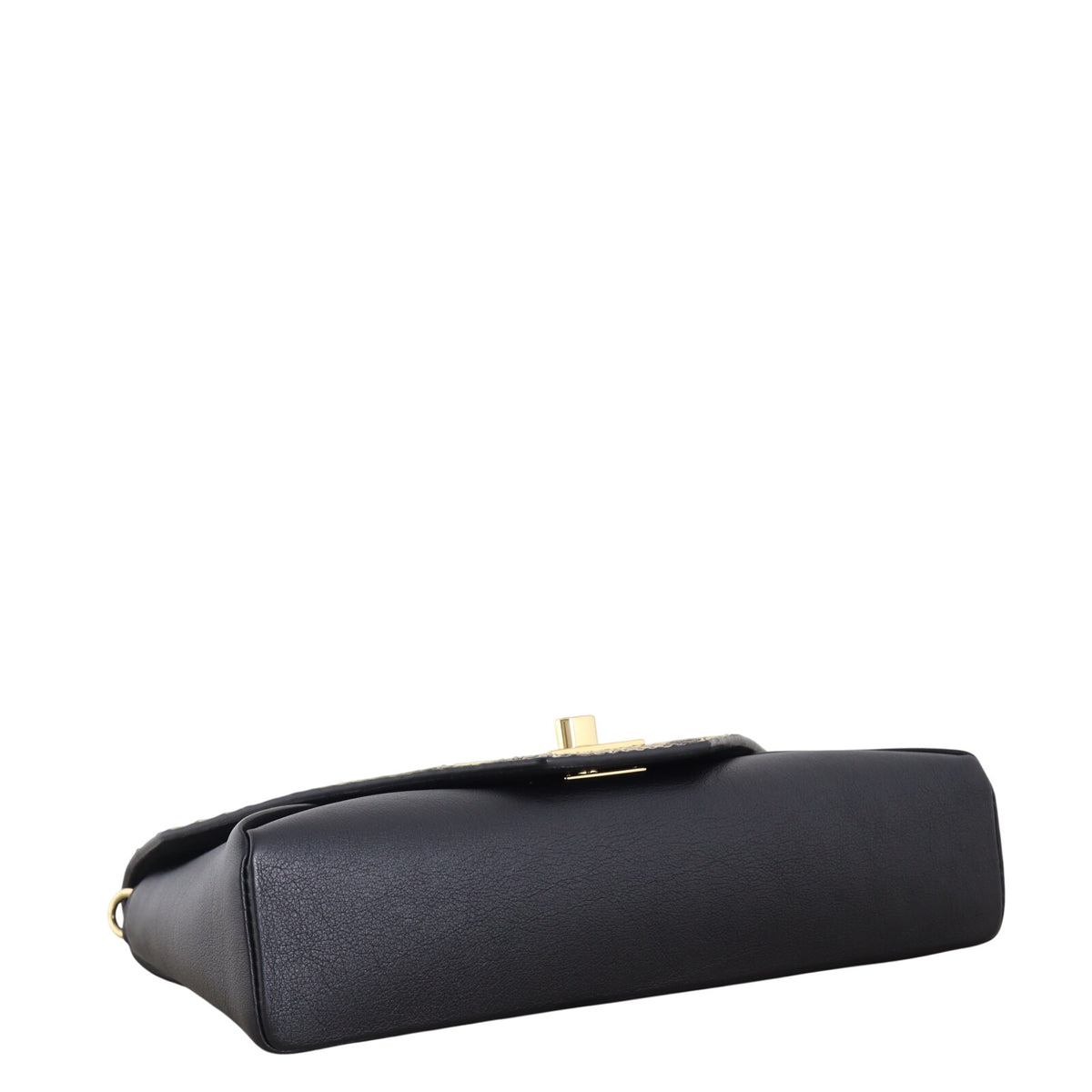 Louis Vuitton Love Note Chain Clutch Python_IMG_3337.jpeg