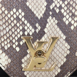 Louis Vuitton Love Note Chain Clutch Python_IMG_3338.jpg