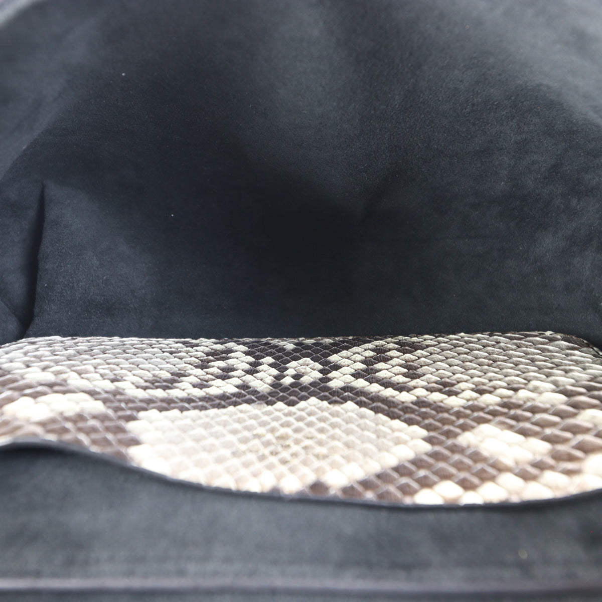 Louis Vuitton Love Note Chain Clutch Python_IMG_3344.jpg