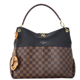 Louis Vuitton Maida Hobo Damier Ebene_IMG_4691.jpeg