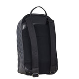 Louis Vuitton Michael Backpack Damier Graphite_IMG_4154.jpeg