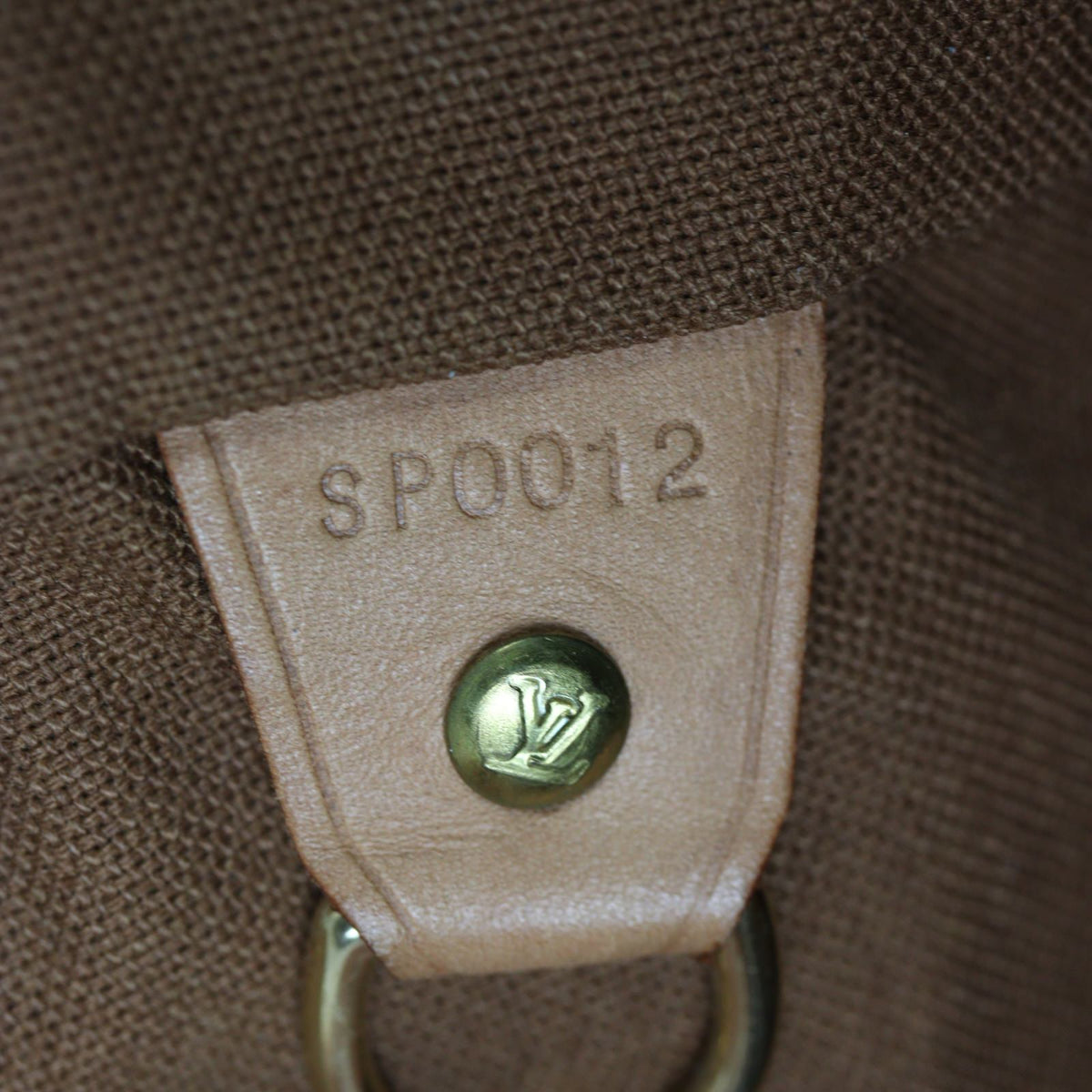 Louis Vuitton Montsouris MM Backpack Monogram_IMG_7362.jpg