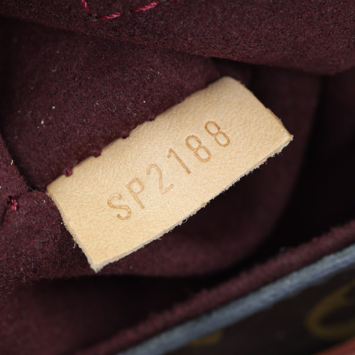 Louis Vuitton Montsouris NM Backpack Monogram_IMG_2773.jpg