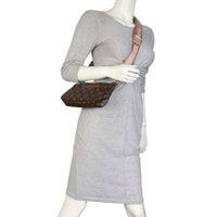 Louis Vuitton Multi Pochette Accessoires Monogram (main bag only)_IMG_7006.jpeg
