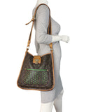 Louis Vuitton Musette Perforated Monogram_IMG_5711.jpeg