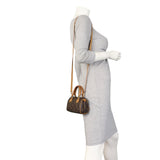 Louis Vuitton Nano Speedy Monogram_IMG_1635.jpeg