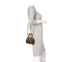 Louis Vuitton Nano Speedy Monogram_IMG_1635.jpeg