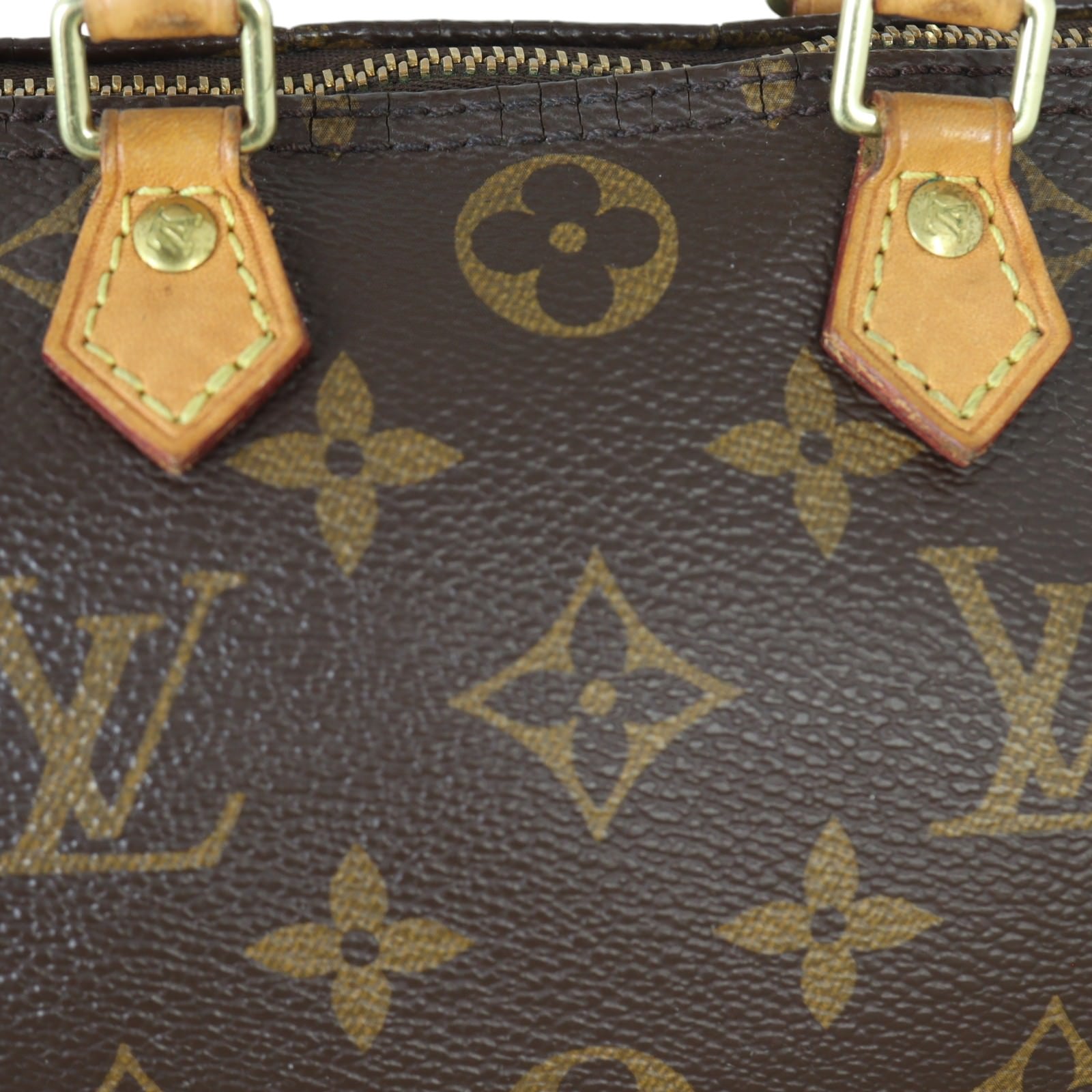 Louis Vuitton Nano Speedy Monogram_IMG_4798.jpg