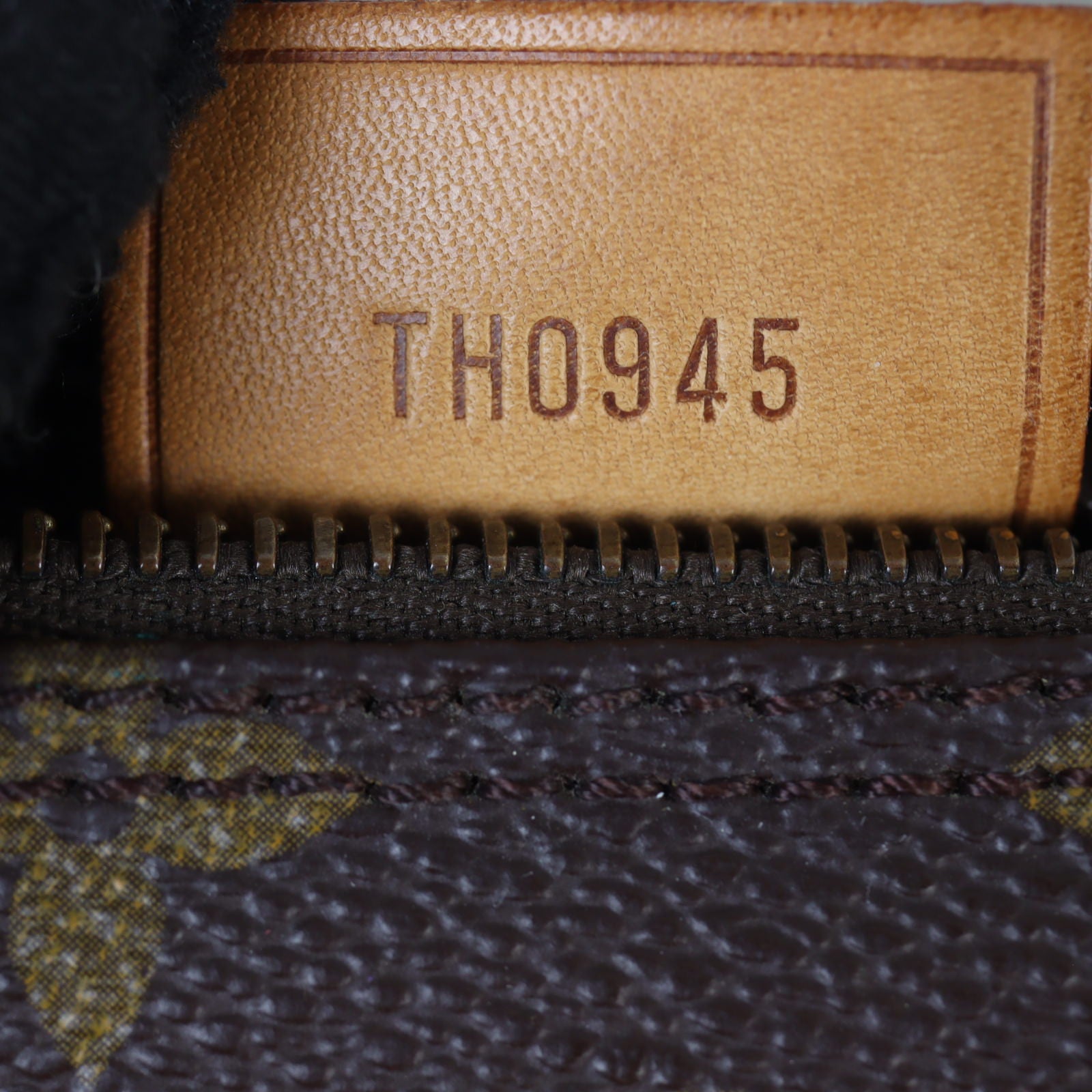 Louis Vuitton Nano Speedy Monogram_IMG_8084.jpg