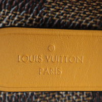 Louis Vuitton NeoNoe Damier Ebene_IMG_1475.jpg