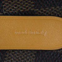 Louis Vuitton NeoNoe Damier Ebene_IMG_1476.jpg