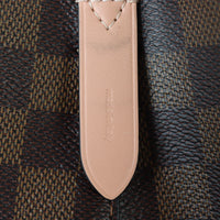 Louis Vuitton NeoNoe Damier Ebene_IMG_8282.jpg
