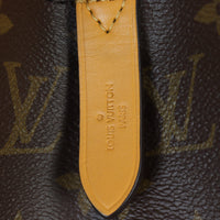 Louis Vuitton NeoNoe Monogram_IMG_3001.jpg