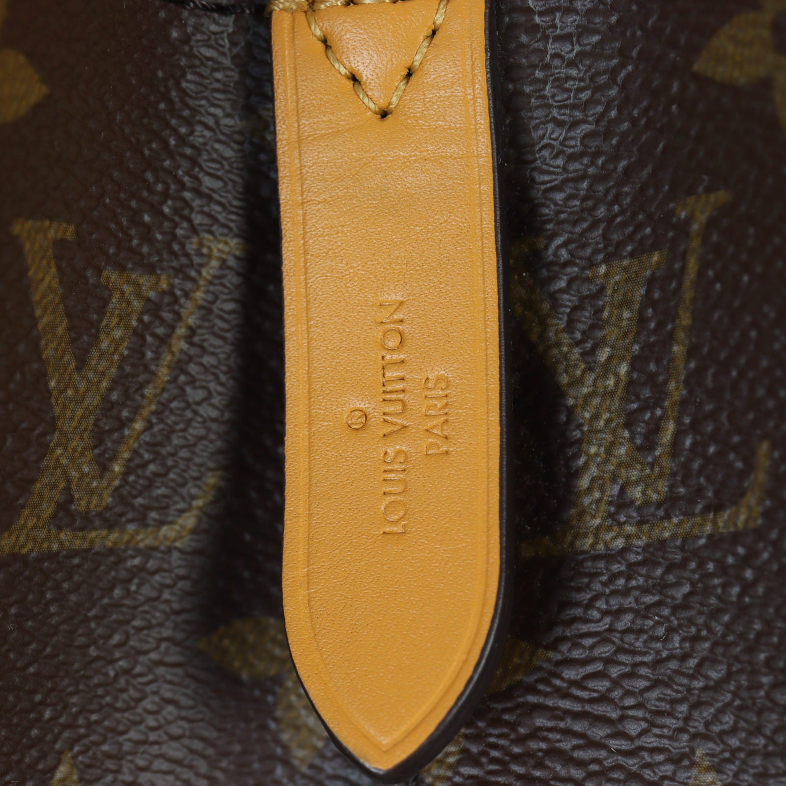 Louis Vuitton NeoNoe Monogram_IMG_3001.jpg