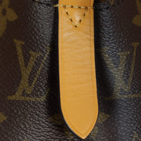 Louis Vuitton NeoNoe Monogram_IMG_3002.jpg