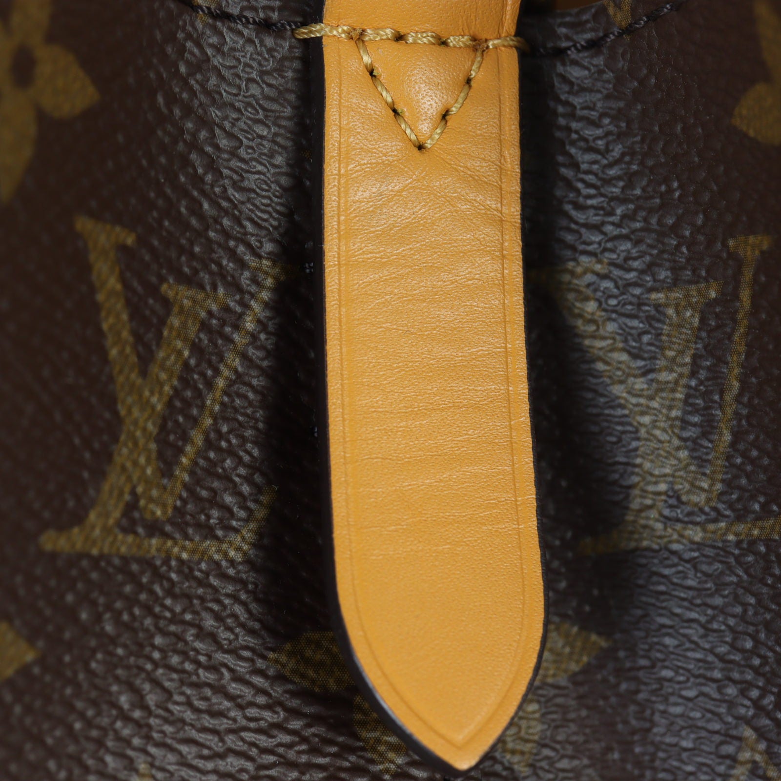 Louis Vuitton NeoNoe Monogram_IMG_3002.jpg