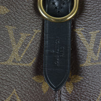 Louis Vuitton NeoNoe Monogram_IMG_5083.jpg