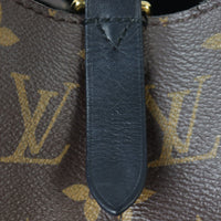 Louis Vuitton NeoNoe Monogram_IMG_9975.jpg