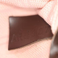 Louis Vuitton Neverfull MM Damier Ebene_IIMG_7899.jpg
