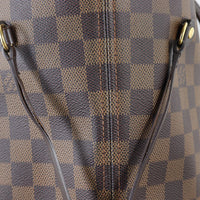 Louis Vuitton Neverfull MM Damier Ebene_IMG_0316.jpg