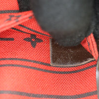 Louis Vuitton Neverfull PM Damier Ebene_IMG_5198.jpg