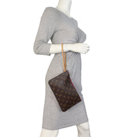 Louis Vuitton Neverfull Pochette Monogram_IMG_7377.jpeg