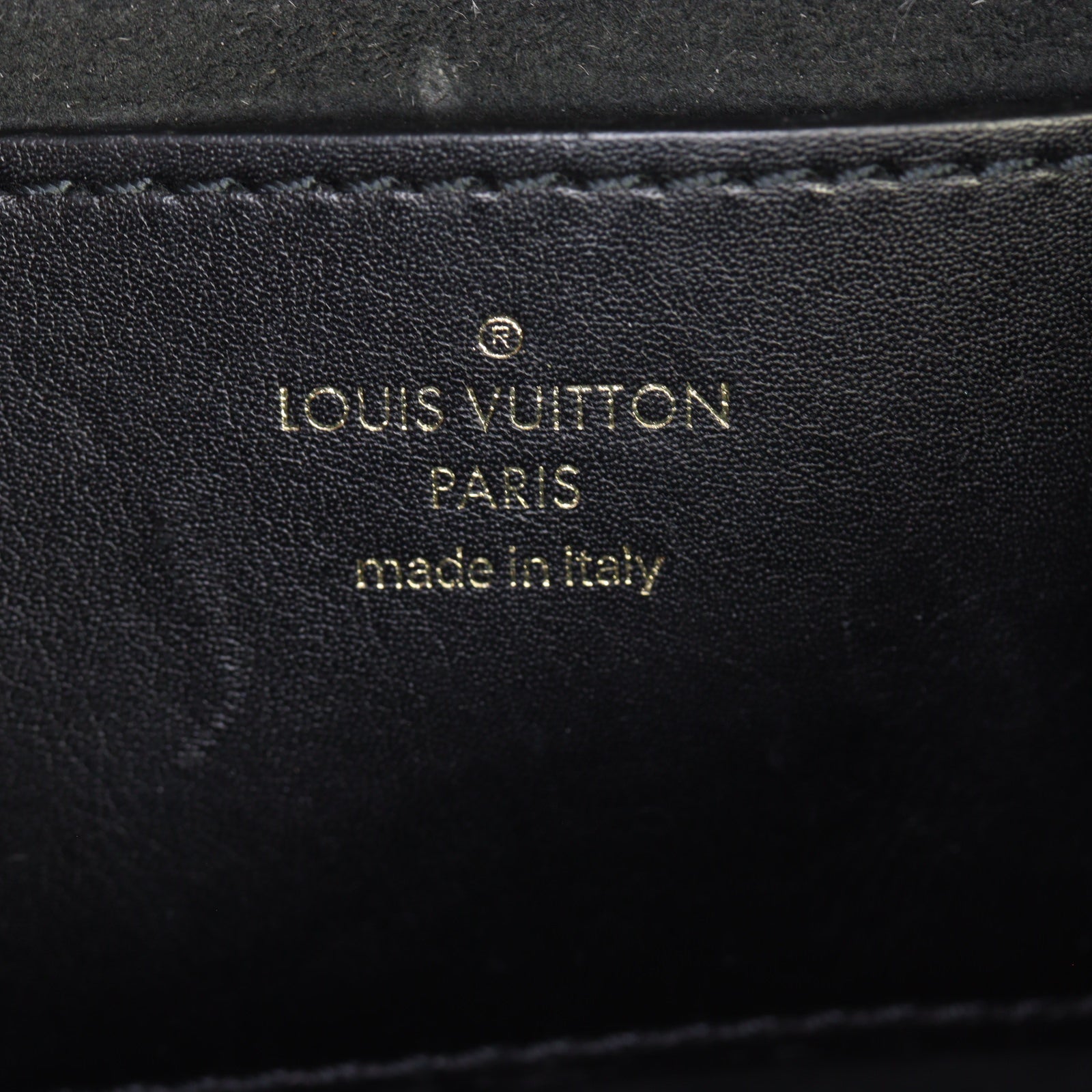Louis Vuitton New Wave Multi Pochette_IMG_9872.jpg