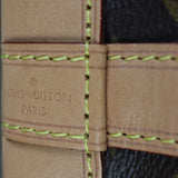 Louis Vuitton Noe BB Monogram_IMG_2283.jpg