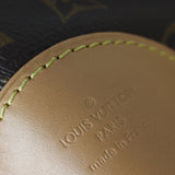 Louis Vuitton Odeon MM Monogram_IMG_0115.jpg