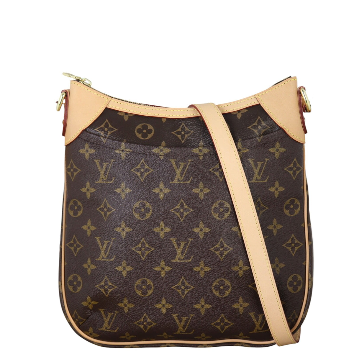 Louis Vuitton Odeon PM Monogram_IMG_1047.jpg