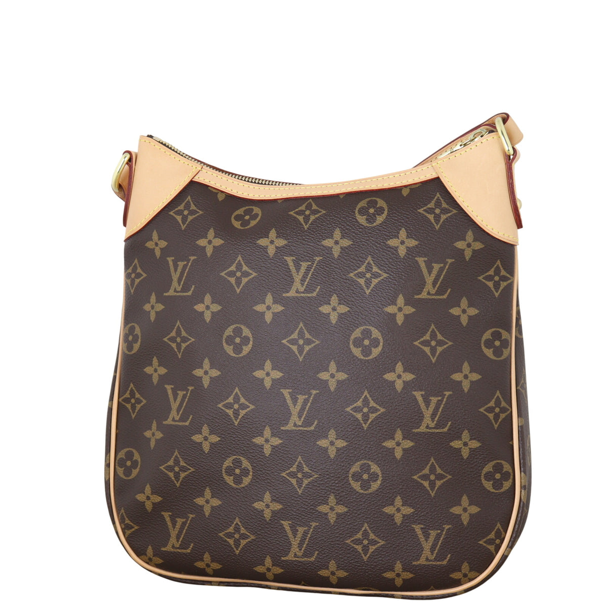 Louis Vuitton Odeon PM Monogram_IMG_1049.jpeg