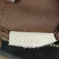 Louis Vuitton Odeon PM Monogram_IMG_1054.jpg