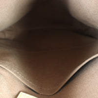 Louis Vuitton Odeon PM Monogram_IMG_1058.jpg