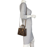 Louis Vuitton OnTheGo BB Monogram Reverse_IMG_3971.jpeg
