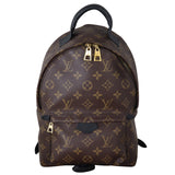 Louis Vuitton Palm Springs Backpack PM Monogram_IMG_5268.jpeg
